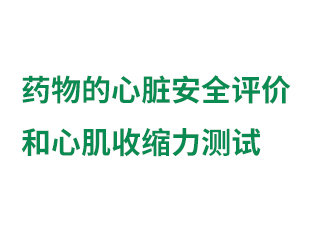 藥物的心臟安全評(píng)價(jià) 和...