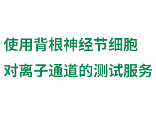 使用背根神經(jīng)節(jié)細(xì)胞對(duì)...